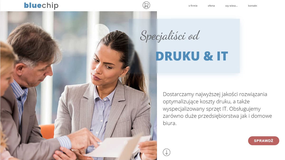 Thumbnail image of project "bluechip website" nr 1